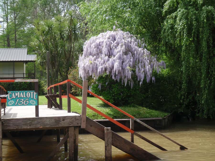 Navigation in Delta of Tigre - Exclusive semi private tour - What the guide adds to the experience
