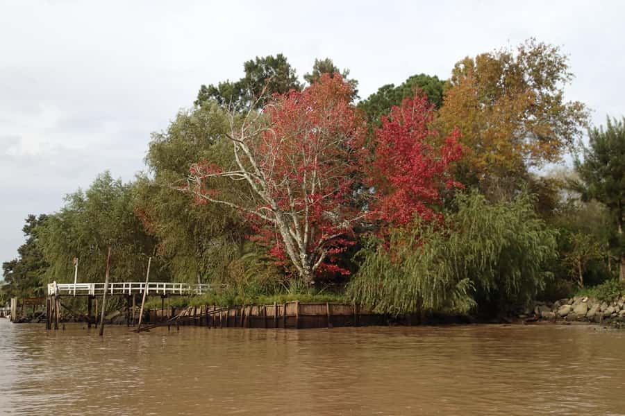 Navigation in Delta of Tigre - Exclusive semi private tour - Is $135 per person good value?