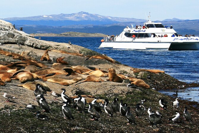 Navigation to Beagle Channel and Sea Lions Island with Transfers - What the $118 price really buys you