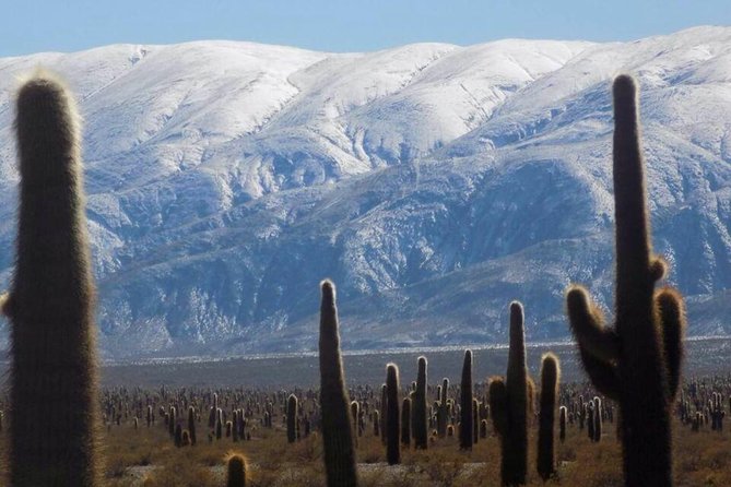 One Day Tour of Cachi and Calchaquí Valleys from Salta - Why this route is worth giving up a day in Salta
