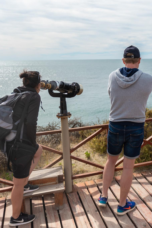 Peninsula Valdes Full Day Tour - The Guide and the Value of Good Interpretation