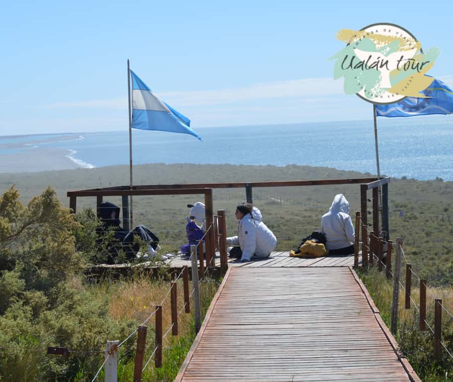 Peninsula Valdes: Shore excursion for cruise passengers - Why Peninsula Valdes Is Worth the Long Ride