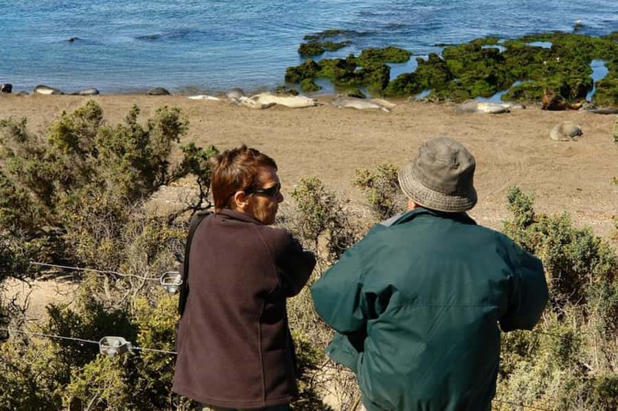 Peninsula Valdes Shore Tour for Cruise Passengers + City - What to pack for the coast