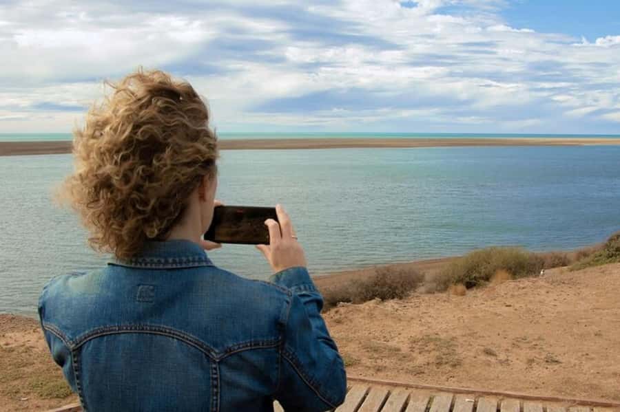 Peninsula Valdes Shore Tour for Cruise Passengers + City - Punta Piramides and the sea lion colony