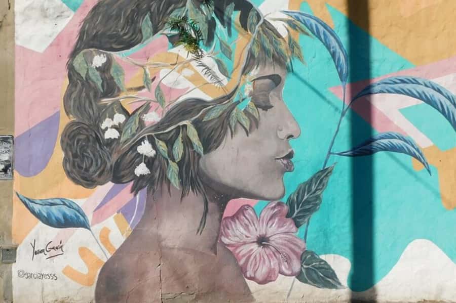 Premium Argentinian Wine and Malbec Tasting & Urban Art Tour - Why Palermo Soho makes a good wine stop