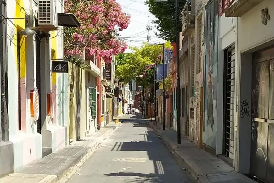 Premium Argentinian Wine and Malbec Tasting & Urban Art Tour - The Palermo Soho walk and local urban art
