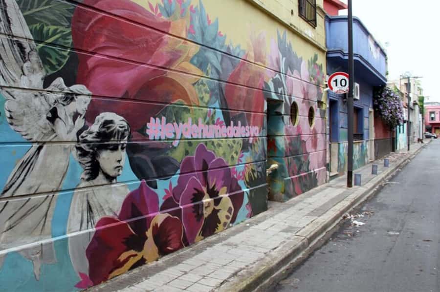 Premium Argentinian Wine and Malbec Tasting & Urban Art Tour - The guides are the main reason to book