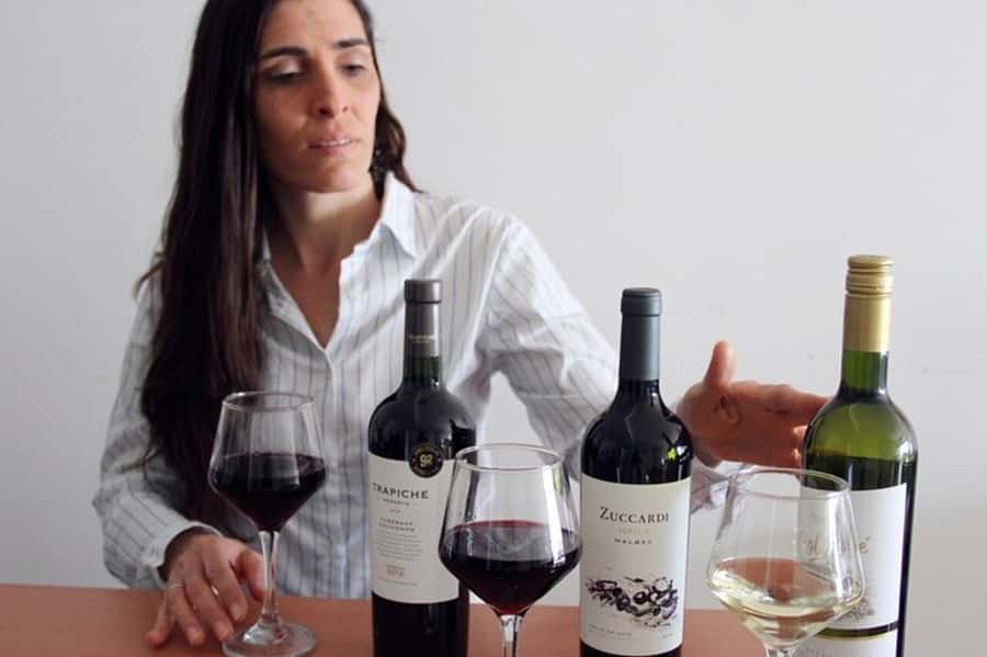 Premium Argentinian Wine and Malbec Tasting & Urban Art Tour - Starting at Gorriti 4882 or 4886