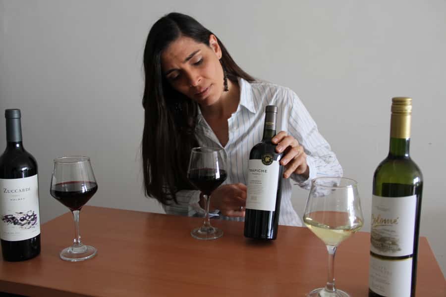 Premium Argentinian Wines and Malbec Tasting Experience - The guides are a major part of the experience