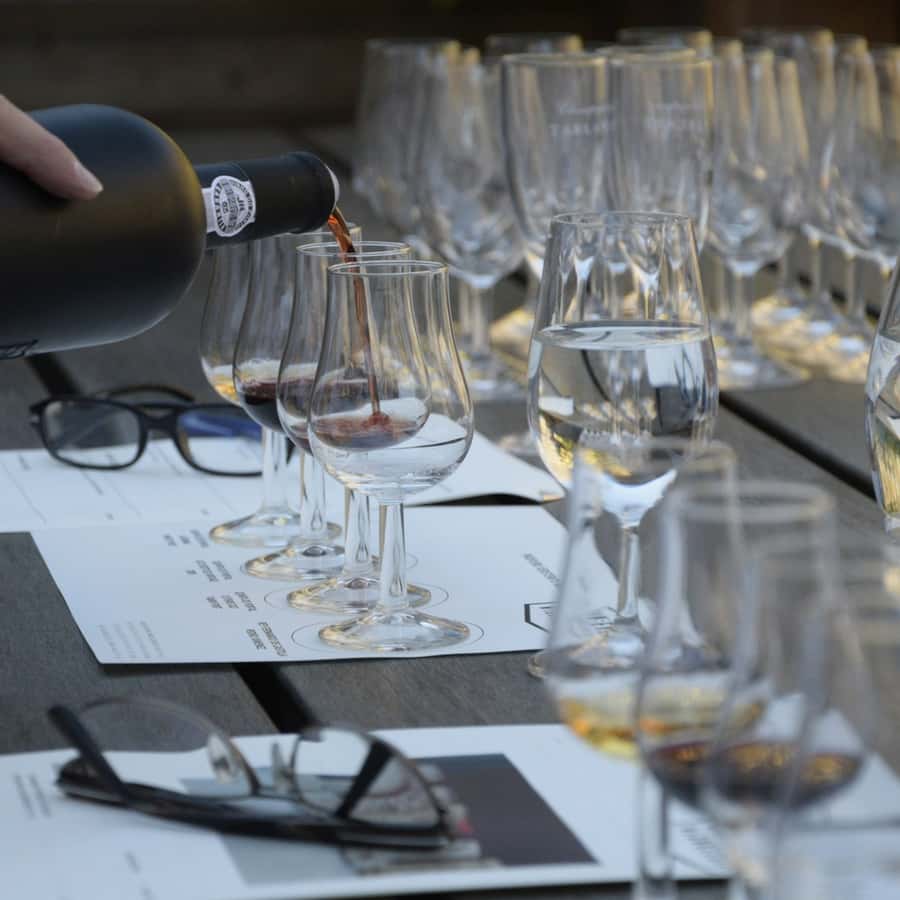 Premium Empanadas Cooking Class & Wine Tasting Experience - Three Argentine wines, three different personalities