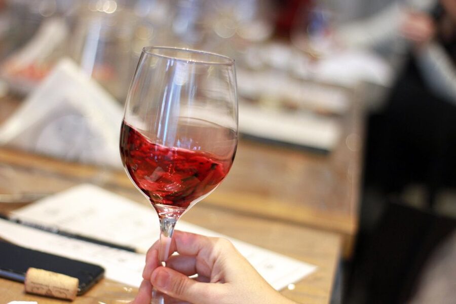 Premium Empanadas Cooking Class & Wine Tasting Experience - Who will enjoy this class most?