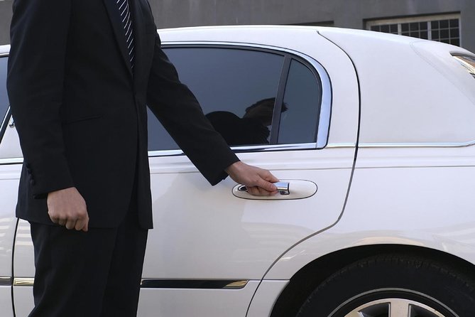 Private Arrival Transfer: Ezeiza Airport to Buenos Aires Hotels - Meeting your driver after customs at Ezeiza