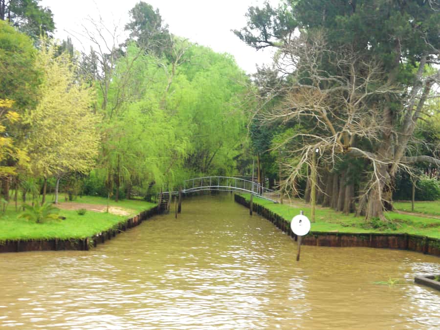 Private Day Trip to Tigre Delta from Buenos Aires - What the guides add to the experience