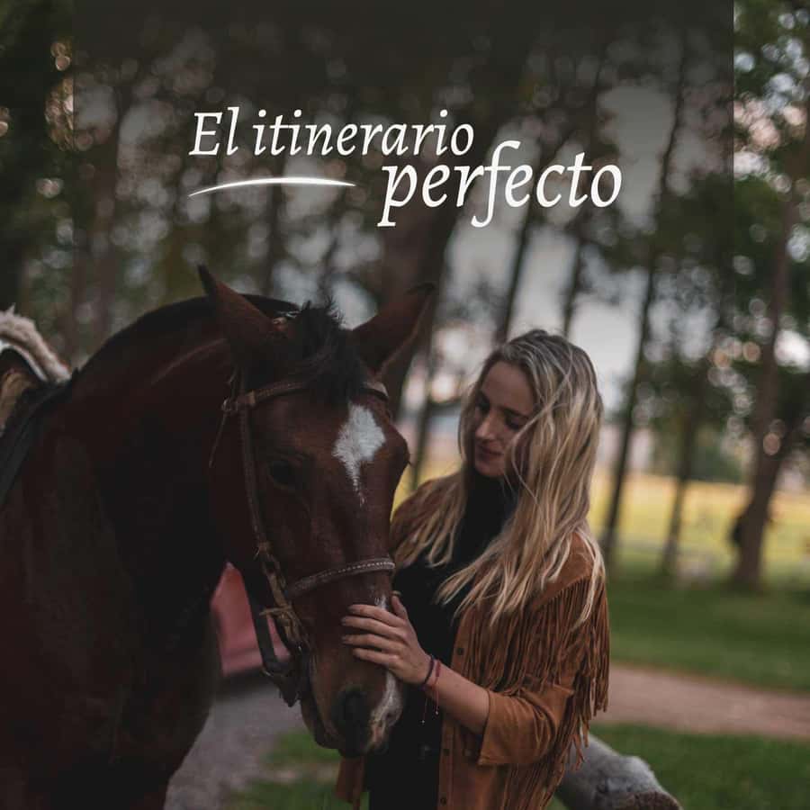 Private Experience: Horseback Riding and BBQ in the Mountain - Estancia La Carrera - Riding Criollo horses through the mountain property