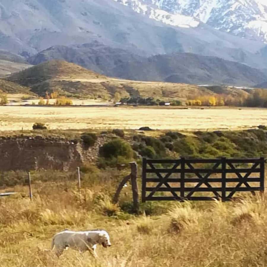Private Experience: Horseback Riding and BBQ in the Mountain - Estancia La Carrera - What the $180 price really covers
