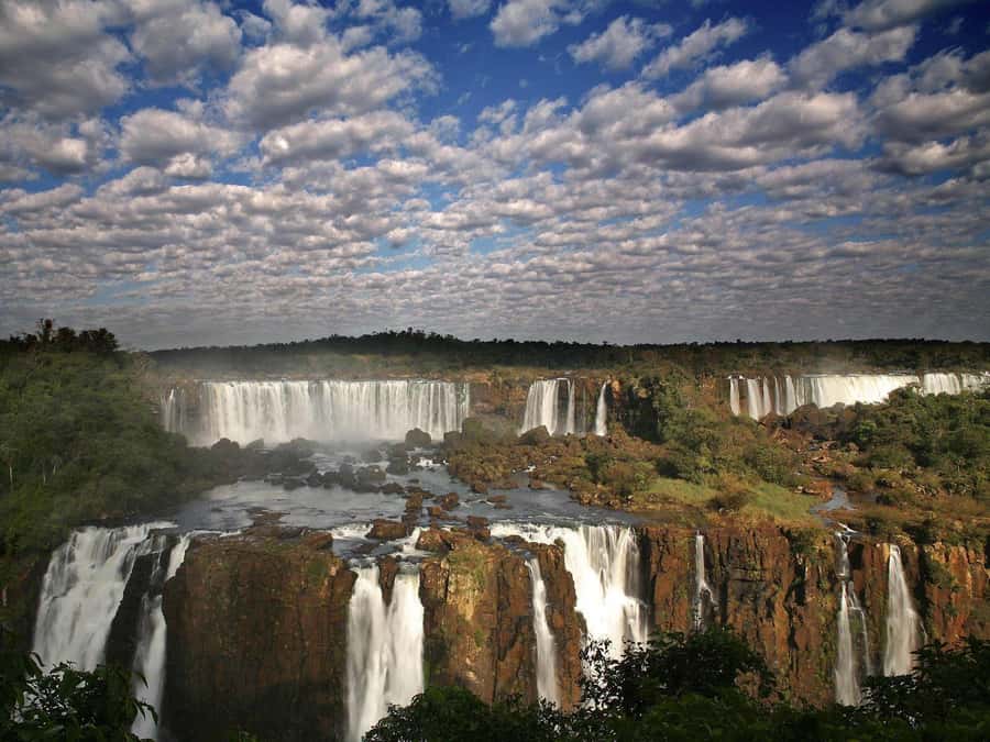 Puerto Iguazú: Brazilian Falls Half-Day Panoramic Tour - The panoramic bus through Iguaçu National Park
