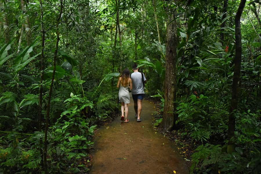Puerto Iguazu: Iguaza Falls Brazilian Side & Bird Park Tour - Who should book this outing?