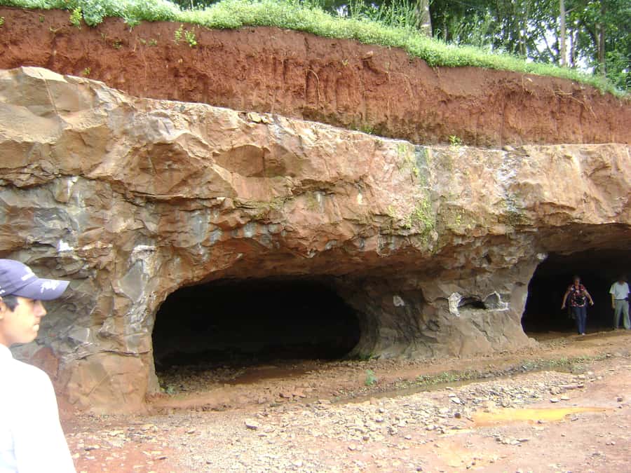Puerto Iguazu: San Ignacio Mission and Wanda Mines Tour - The yerba mate stop adds a local taste