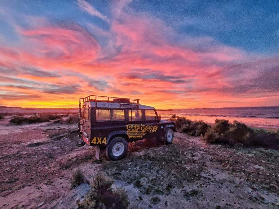 PUERTO MADRYN: 4 X 4 ADVENTURE EXPERIENCE ON THE MOST BEAUTIFUL BEACHES! - Who should book this experience?