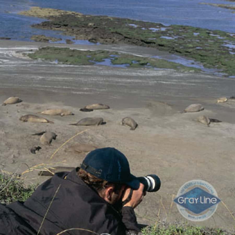 Puerto Madryn: Excursion to Peninsula Valdes Classic - Punta Delgada and the force of the Atlantic