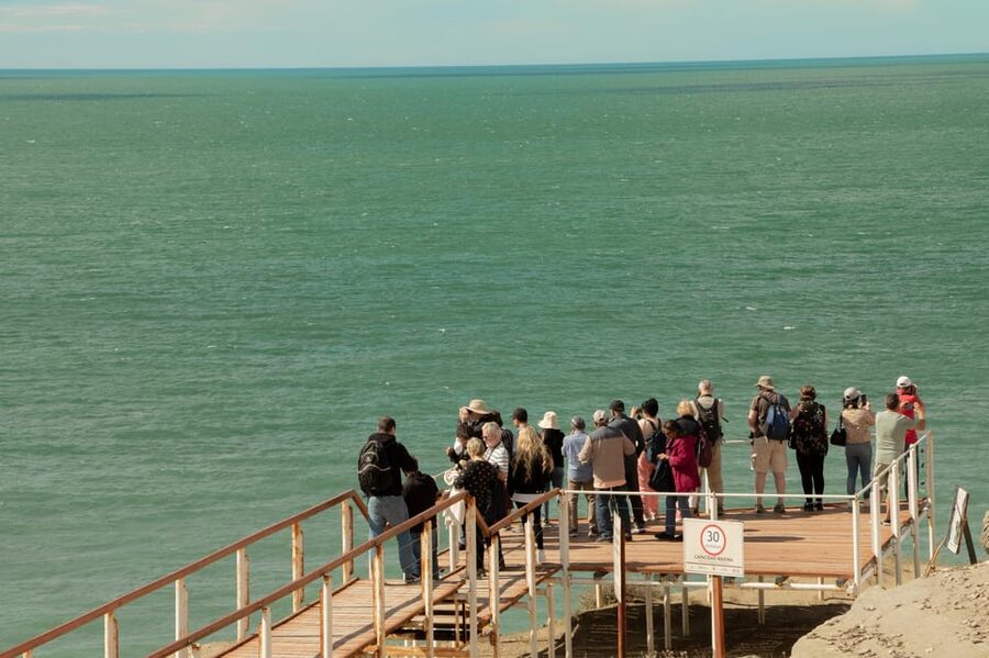 Puerto Madryn: Full Day Peninsula Valdes Experience Tour - Who will enjoy this tour most?