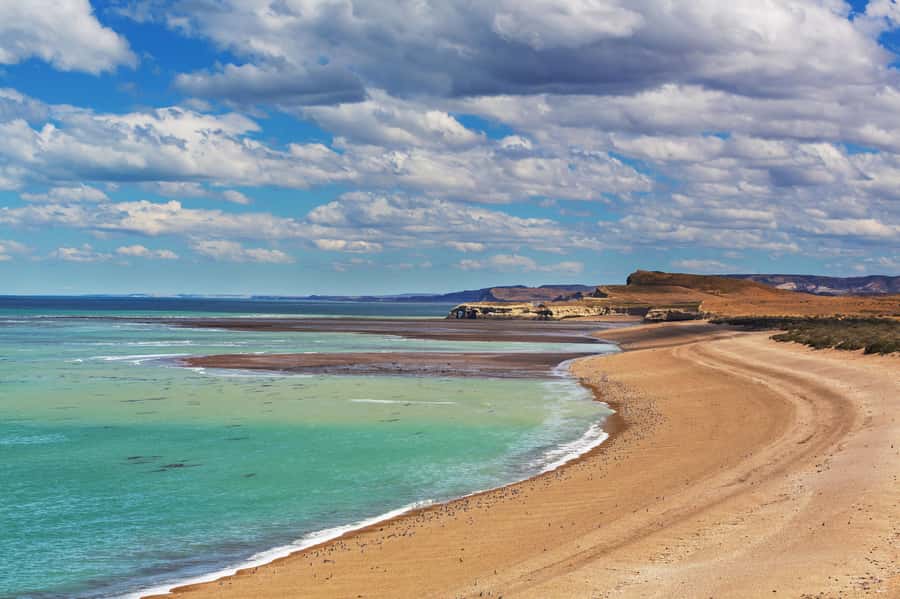 Puerto Madryn: Península Valdes with optional Whale Watching - Key points at a glance