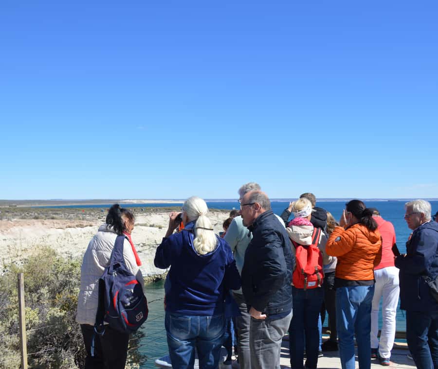 Puerto Madryn: Punta Loma Shore Excursion - Key points before you book