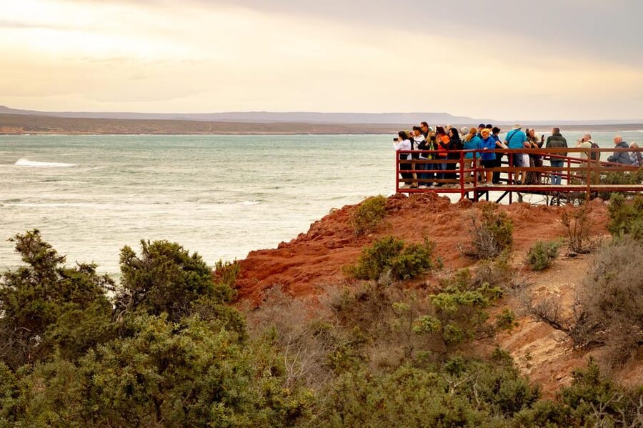 Puerto Madryn: Punta Tombo Walking Among Penguins Experience - Optional stops after the penguins