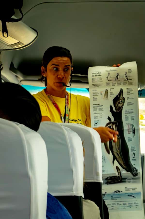 Puerto Madryn: Punta Tombo Walking Among Penguins Experience - The early pickup and the road to Trelew