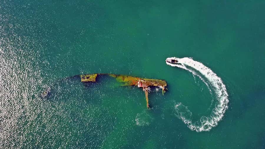 Puerto Madryn: Snorkeling Trip with Sea Lions - Key points to know