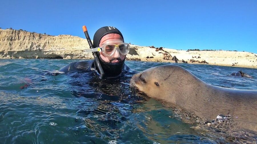 Puerto Madryn: Snorkeling Trip with Sea Lions - Final verdict: should you book it?