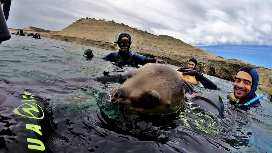 Puerto Madryn: Snorkeling Trip with Sea Lions - About 40 minutes with the sea lions