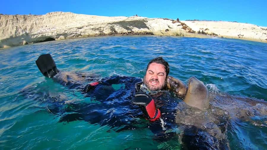 Puerto Madryn: Snorkeling Trip with Sea Lions - Water conditions, comfort, and the cold-water question