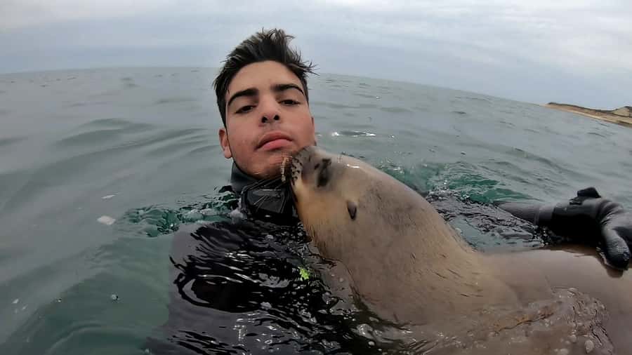 Puerto Madryn: Snorkeling Trip with Sea Lions - Is the $150 price good value?
