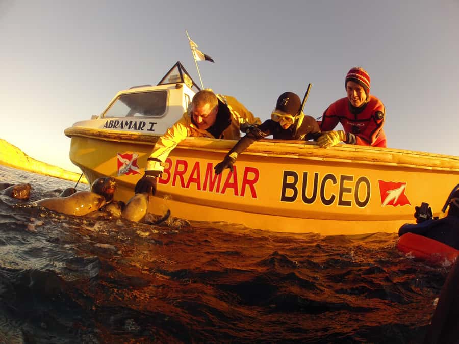PUERTO MADRYN , SNORKELING WITH SEA LIONS - From Bajada 2 to Punta Loma