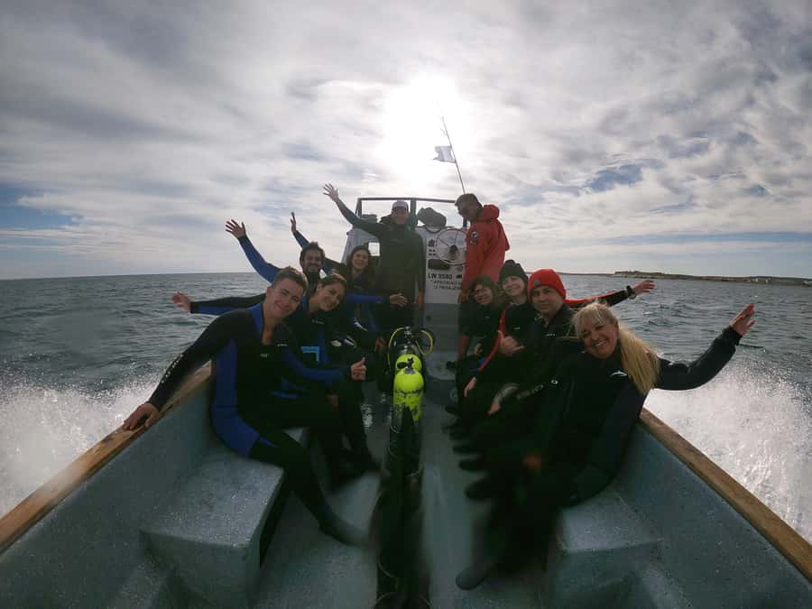 PUERTO MADRYN , SNORKELING WITH SEA LIONS - A careful approach to animal welfare