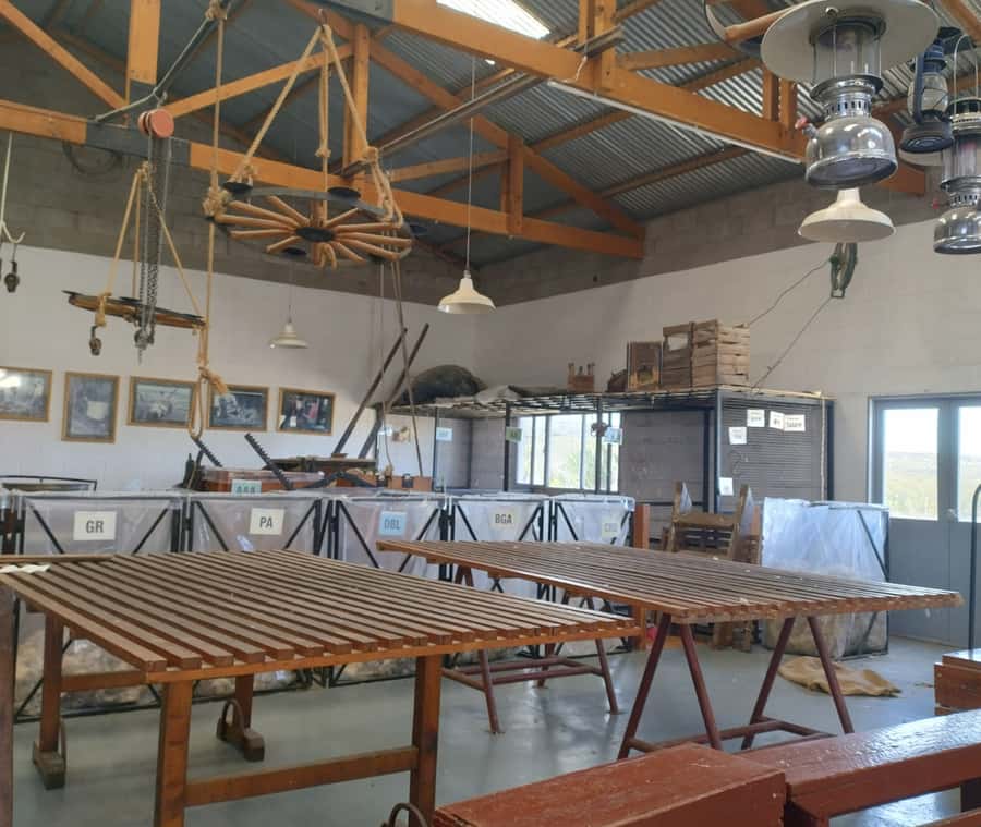 Punta Loma + Ranch Shore Excursion for cruise passengers - Lamb empanadas and goulash for lunch
