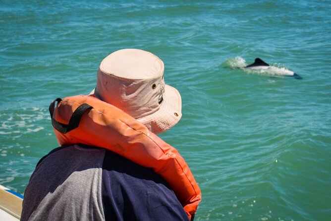 Punta Tombo Penguin Colony from Puerto Madryn with optional Toninas Watching - Who will enjoy this day most