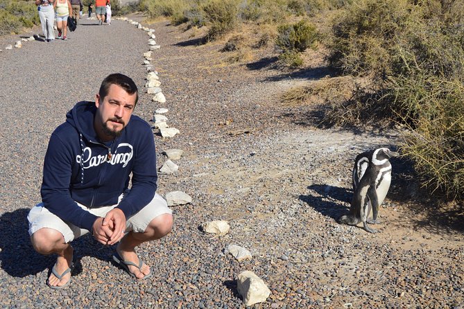 Punta Tombo Tour, the Penguin Experience - What the $90 price really covers