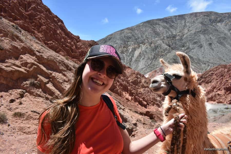 Purmamarca: Hiking with Llamas through multicolored mountains - Meeting the llamas near Paseo de los Colorados