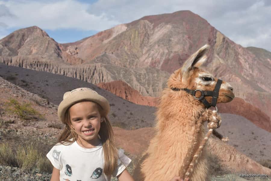 Purmamarca: Hiking with Llamas through multicolored mountains - More than a photo with a llama