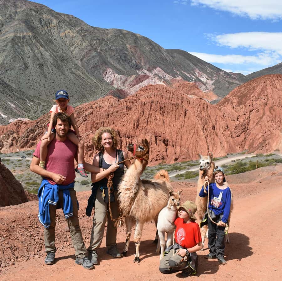 Purmamarca: Hiking with Llamas through multicolored mountains - Geology, plants, and Andean knowledge along the route