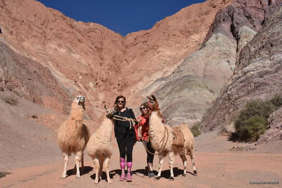 Purmamarca: Hiking with Llamas through multicolored mountains - How much value does this outing offer?