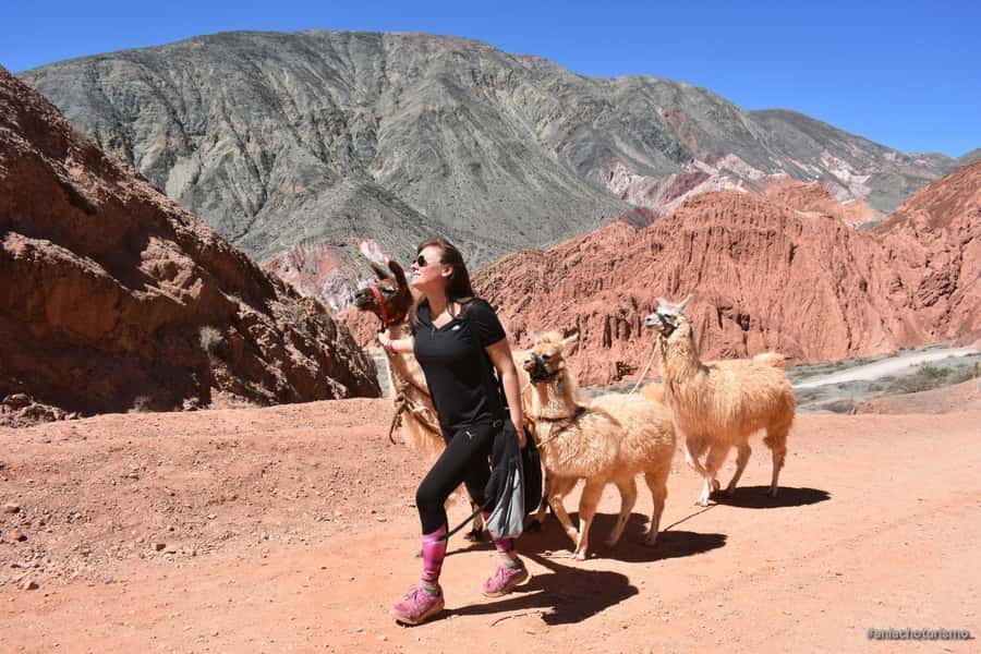 Purmamarca: Hiking with Llamas through multicolored mountains - Who will enjoy this two-hour Purmamarca outing?