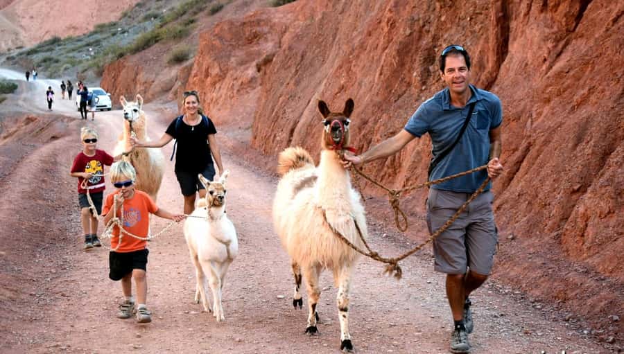 Purmamarca: Hiking with Llamas through multicolored mountains - Should you book the llama walk?
