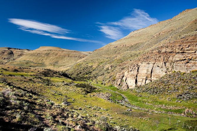 SAFARI EXPERIENCE - WILDLIFE & STEPPE - Why this Patagonia safari feels different