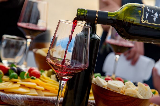 Sailing with Wine Tasting in Buenos Aires - Argentine wine explained by a sommelier