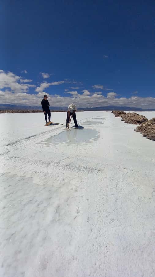 Salinas grandes by bike with lunch - Key points to know before booking