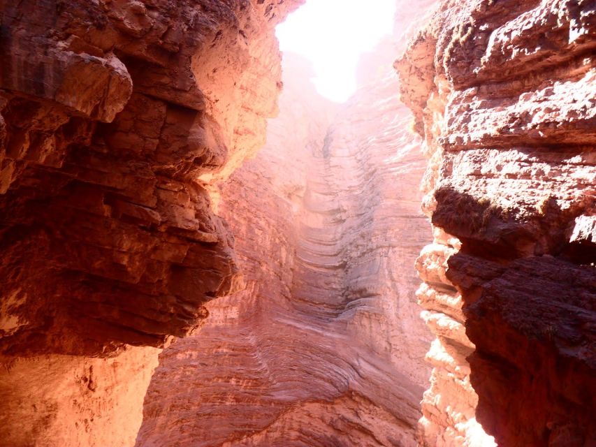 Salta: 2-Day Tour to Cafayate - Who should book this Cafayate trip?