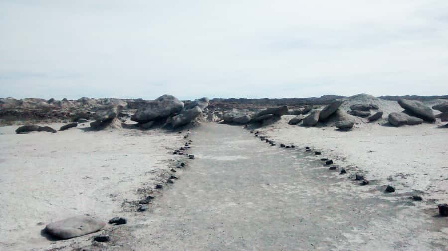 San Juan: Ischigualasto National Park - Moon Valley - What the $190 price really includes